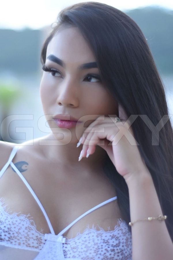 Acompanhante Aysha Cortez em Campinas