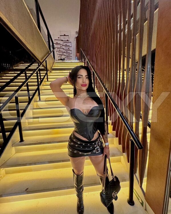 Acompanhante Danielle Sousa